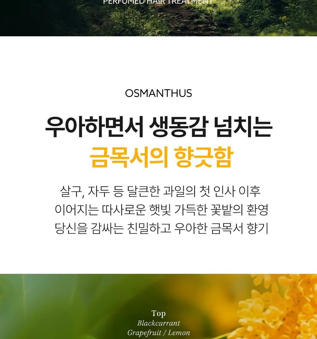 [올영단독] 아도르 퍼퓸 헤어 트리트먼트 380ml 3종 (기획/단품) 상세페이지 35